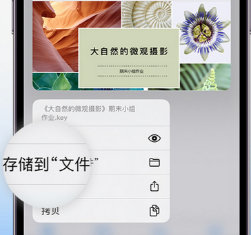 延长apple维修中心分享iPhone文件应用中存储和找到下载文件