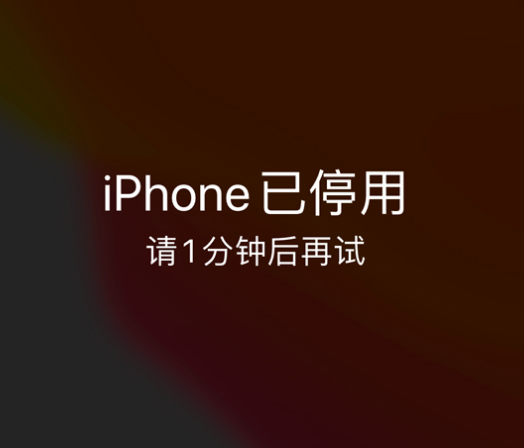 延长苹果手机维修分享:iPhone 显示“不可用”或“已停用”怎么办？还能保留数据吗？ 