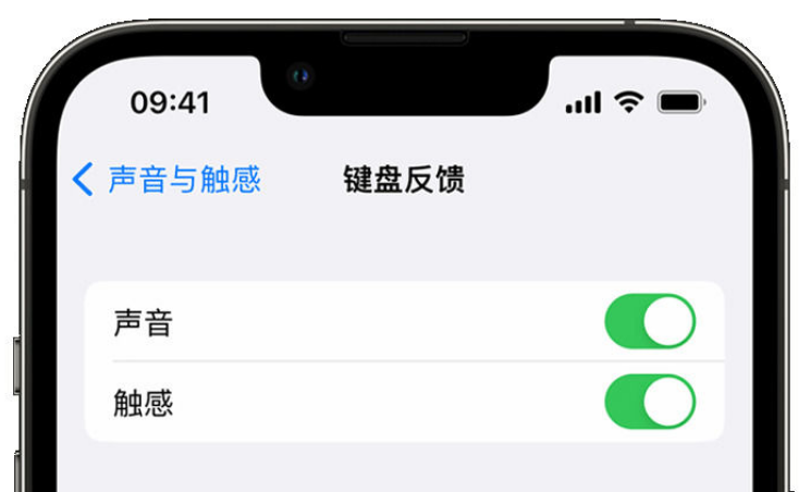 延长苹果手机维修分享iPhone 14触感键盘使用方法 