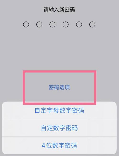 延长苹果14维修分享iPhone 14plus设置密码的方法 