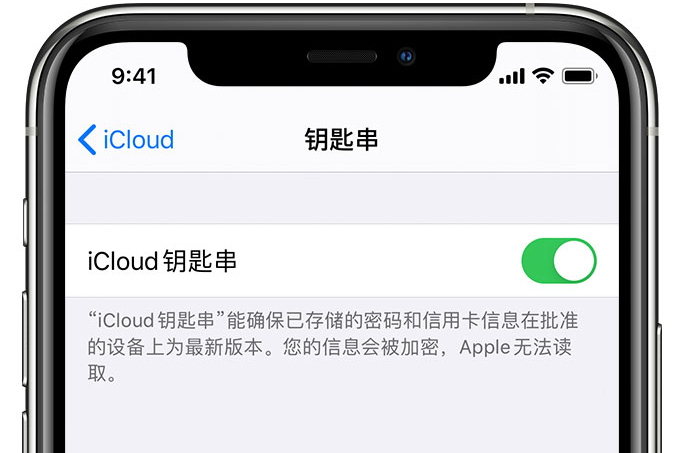 延长苹果手机维修分享在 iPhone 上开启 iCloud 钥匙串之后会储存哪些信息 