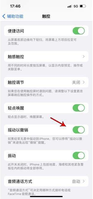 延长苹果手机维修分享iPhone手机如何设置摇一摇删除文字 