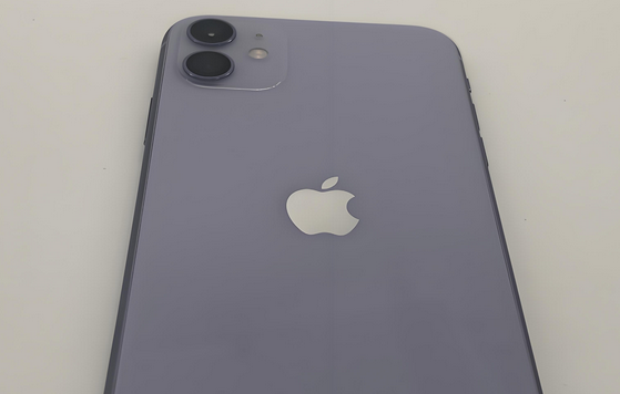 延长苹果11系统维修分享iPhone11手机系统崩溃无法开机如何解决 